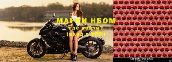 apvp Верея