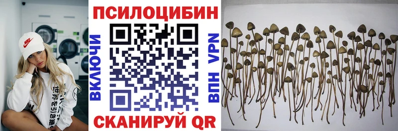 Псилоцибиновые грибы GOLDEN TEACHER  Курган 